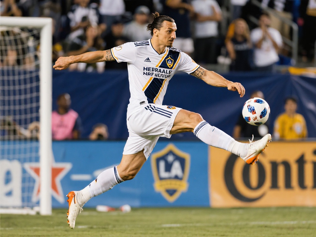 年从热刺签 年从热刺签